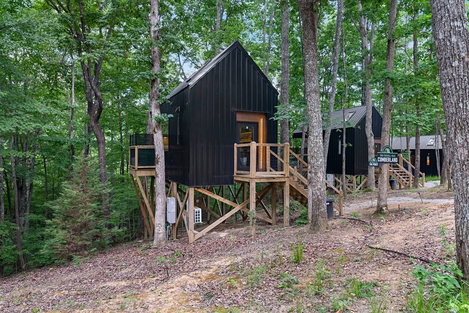 Terralodge's modern treehouses in the woods